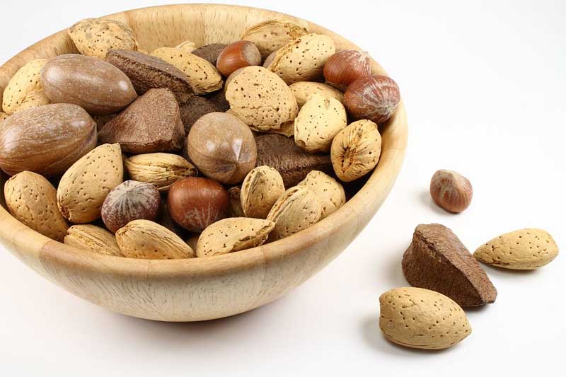 Découvrez la puissance des noix pour une vie plus saine et équilibrée